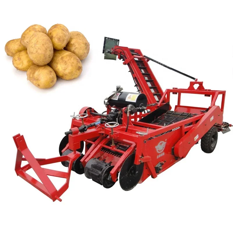 Automatic 2 rows potato/onion combine harvester with high working efficiency