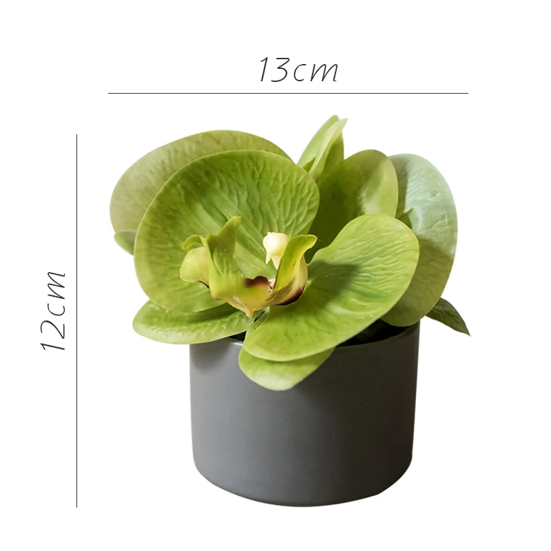 Small Simulation Phalaenopsis Bonsai 5-Color Desktop End Table Table Display Decoration Gift