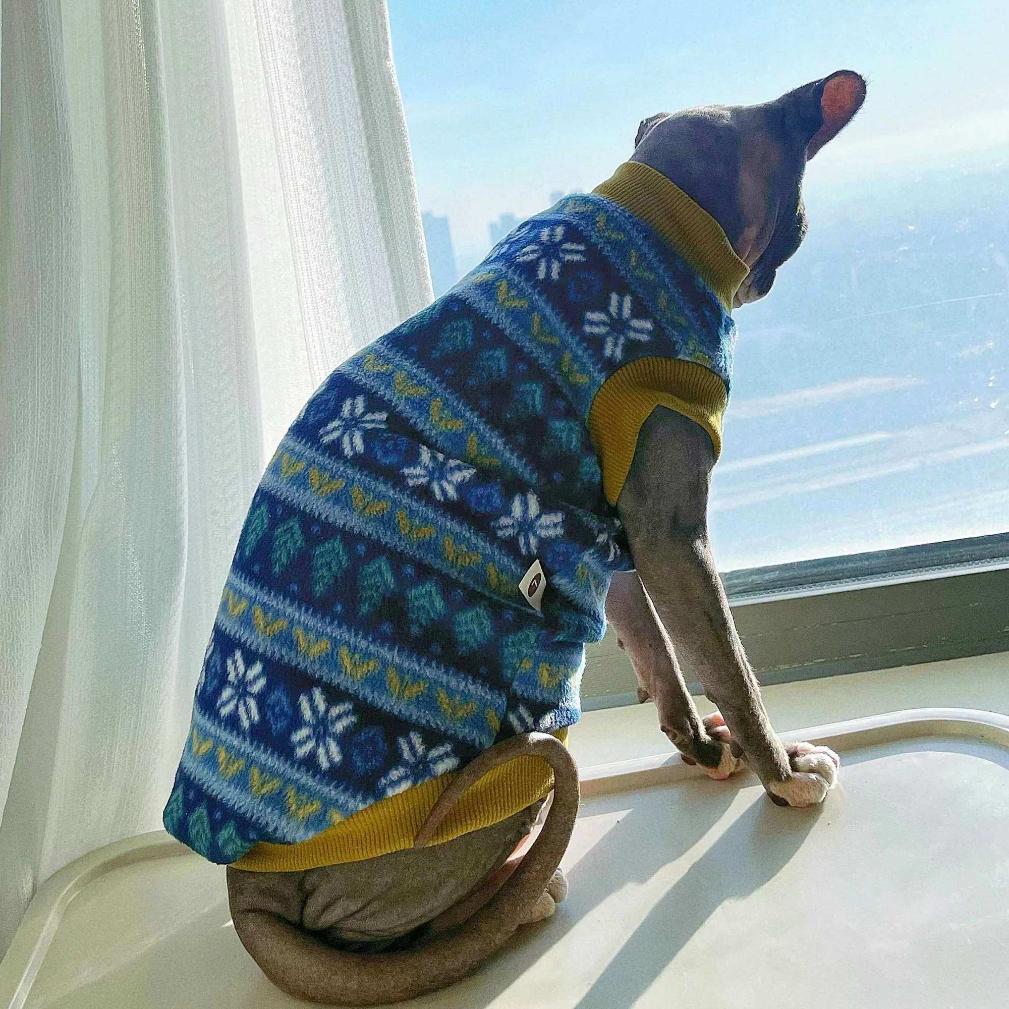 Retro Fleece Sweatshirt for Sphynx Cat Winter Soft Short Sleeved Blue Snowflake Coat for Kittens Christmas Suit for  Devon Rex