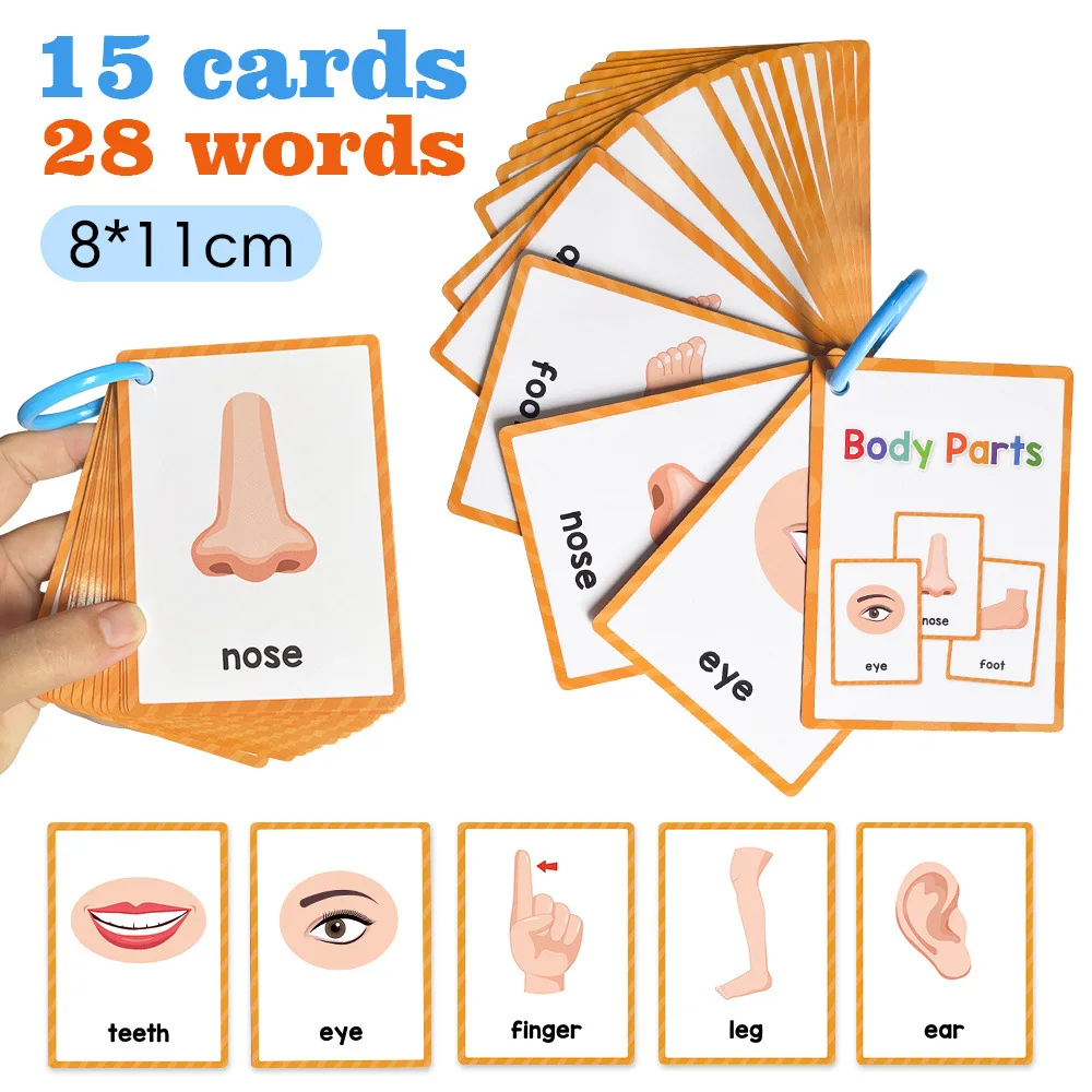 15 Cards Children Body Parts Cognitive Card Montessori Flash Cards for Kid Education Enlightenment English Learning Card