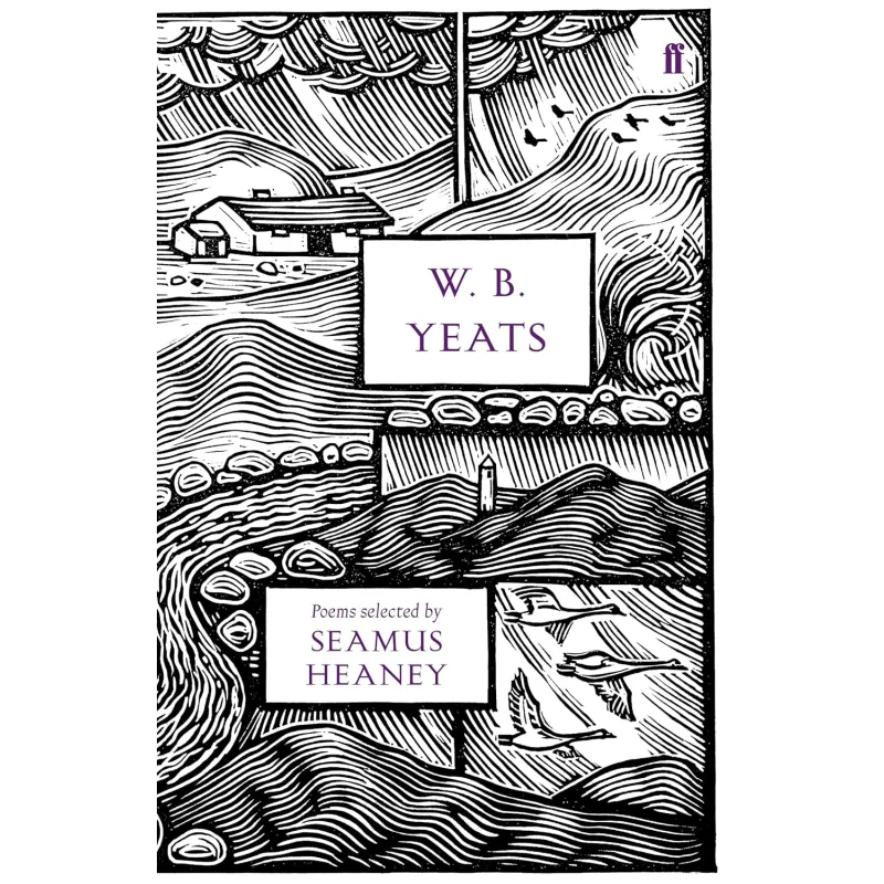 قصائد WBYEATS المختارة بواسطة كتاب SEAMUS HEANEY WB Yeats Faber and Faber 9780571247349
