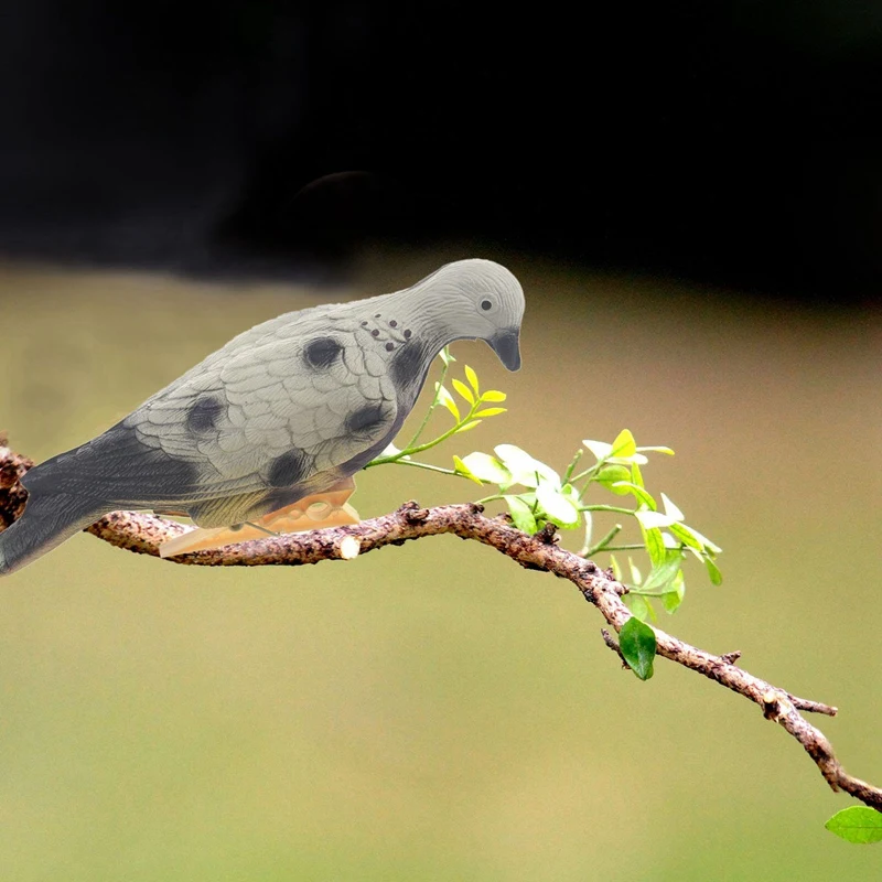 Leurre de simulation de colombe en mousse brûleur, cible de pigeon 3D, chasse sur le terrain, tir à l'arc extérieur, 4 pièces