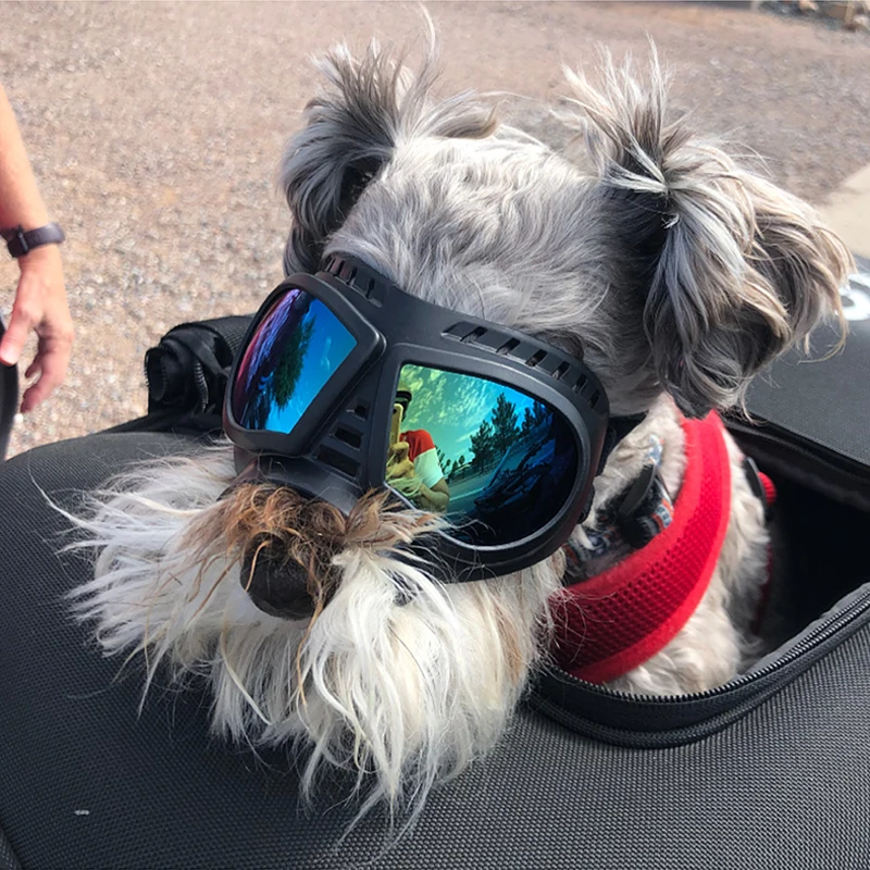 Cool Pet Dog Goggles Sunglasses Anti-UV Sun Glasses Eye Wear Protection Waterproof Windproof Sunglasses Pet Dog Supplies