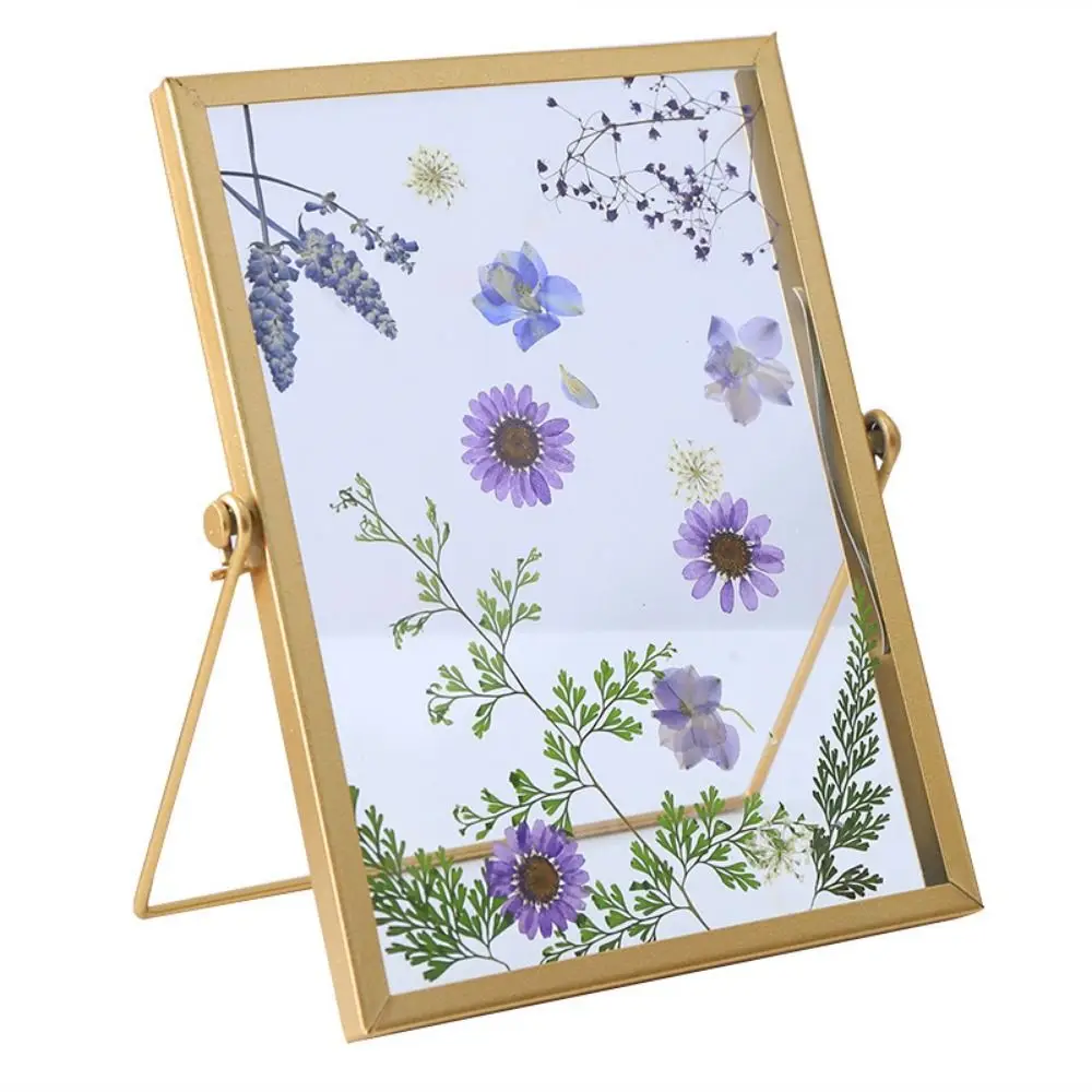 Multi-purpose 4/6/7/8/10 Inch Metal Photo Frame Acrylic Screen Gold Black Picture Holder Rectangle Picture Frame Plant Specimen