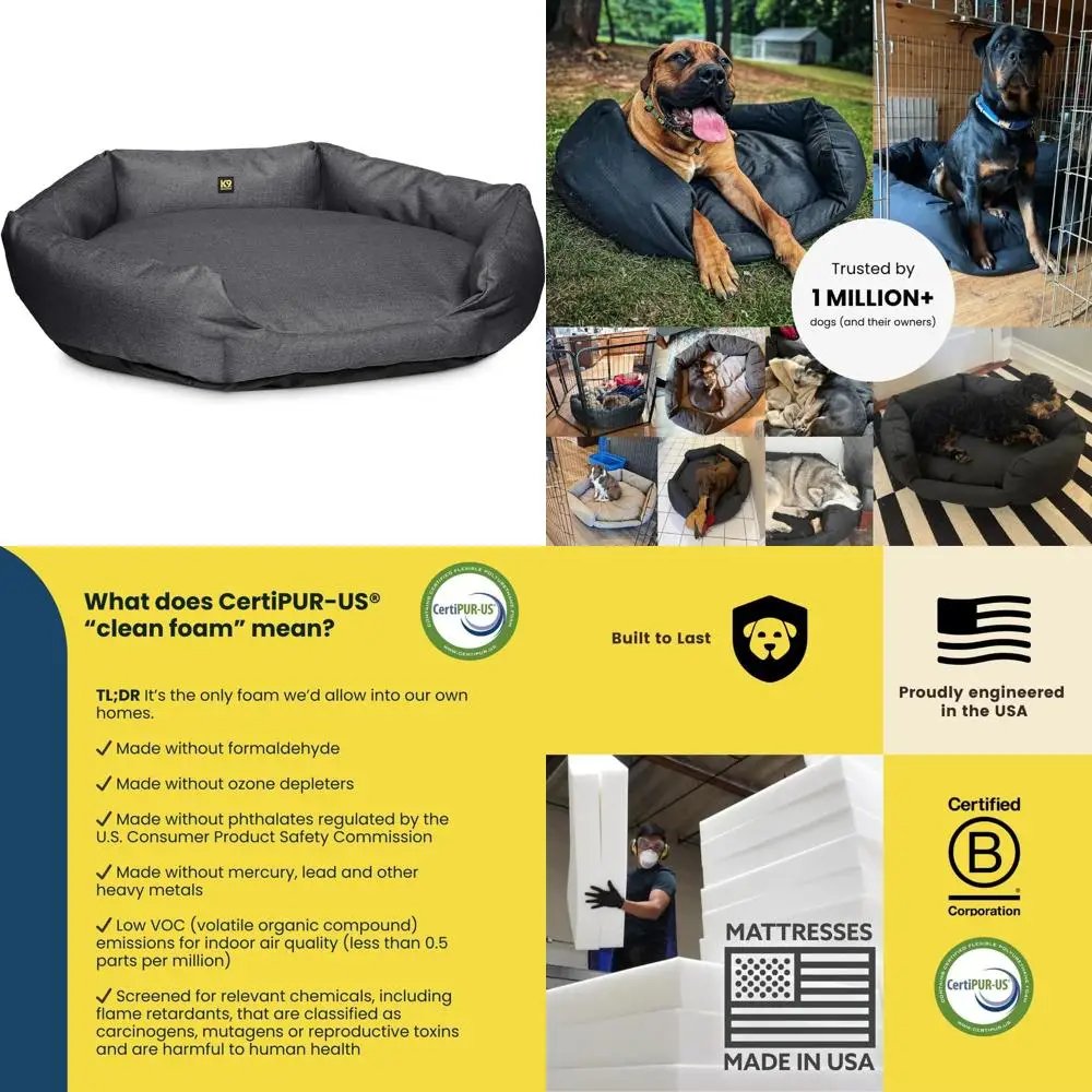 Medium-Sized Titani…