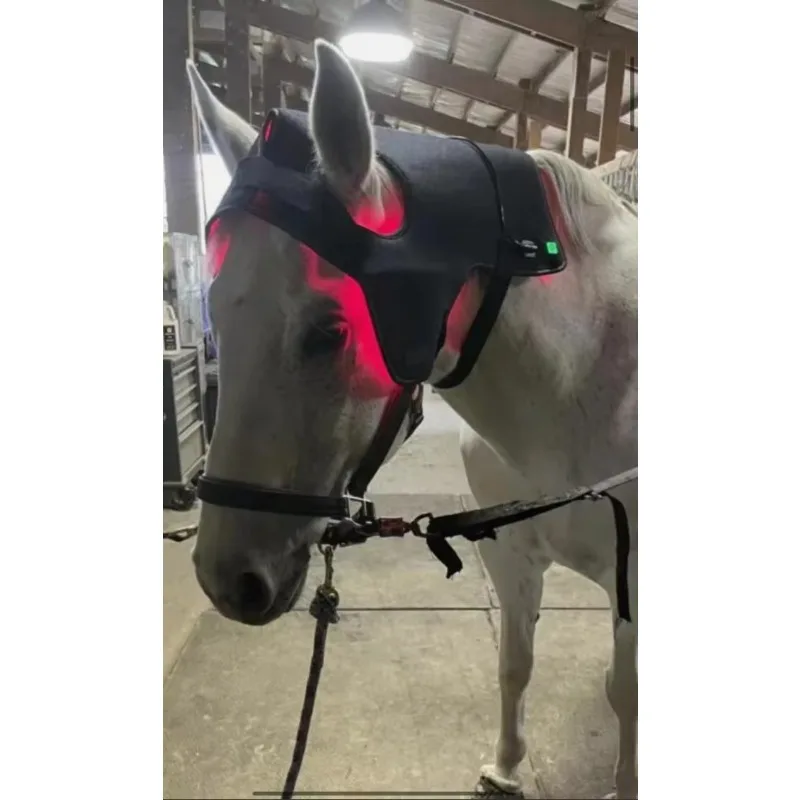 850nm 660nm Near Infrared Pain Therapy Light Body Wrap for Horse Health Care Poll for Animal Care and Supplies