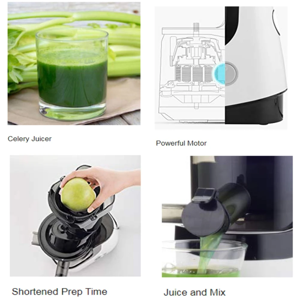 High Quality Commercial Nutrition Fruit Vegetables Masticating Slow Juicer Extractor Electric Customized Logo Stainless Steel