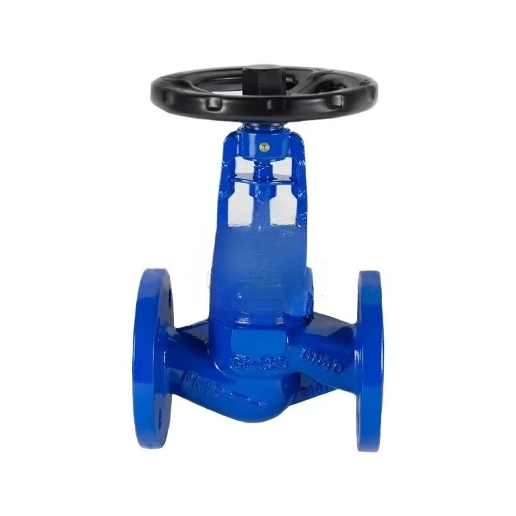 Bellows globe valve heat conduction oil double-layer bellows seal zero leakage long corrosion life