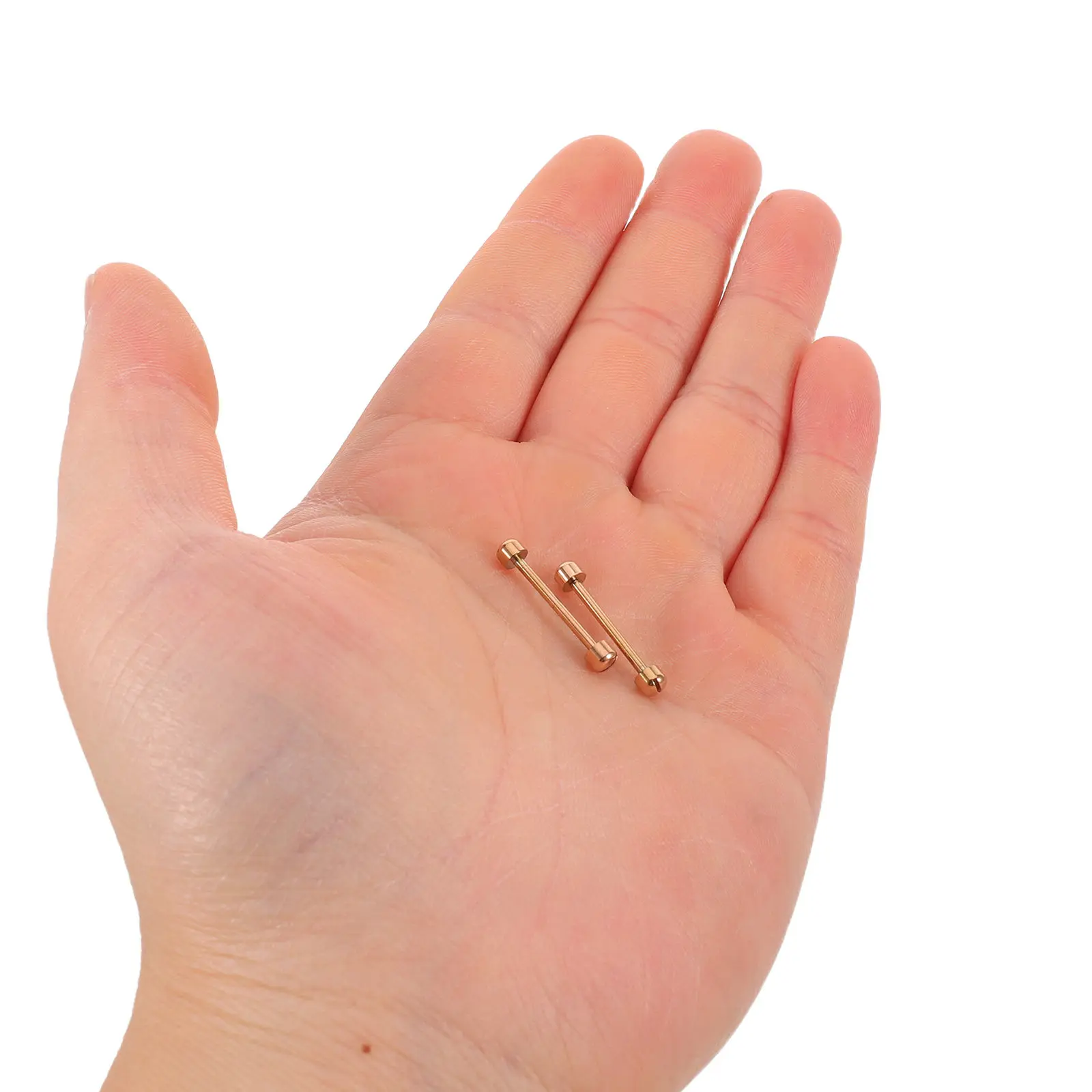 2 Pcs Watch Band Spring Bars Attachment Rod Tube Pin Screw Connector Interchangeable Pins Connectors