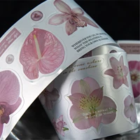 50mm * 2m Flower Intent Continuation Series Ins Plant Theme Collage Tape DIY Diary Scrapbook Aesthetics Decor Journal Supplies 2