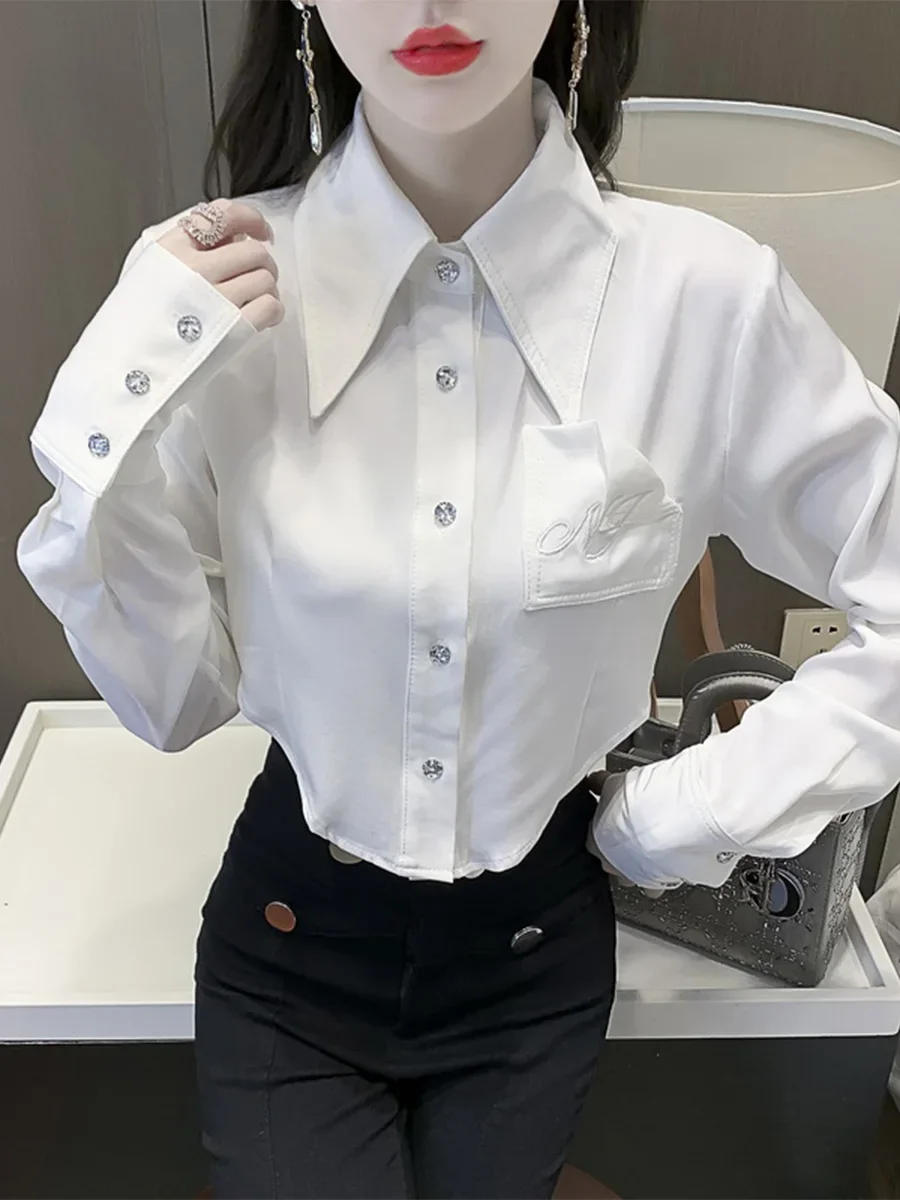 French Irregular Satin Shirt Women\'s Spring Autumn 2022 Chic Slim Long Sleeve Short Embroidered Cropped Navel Chiffon Top