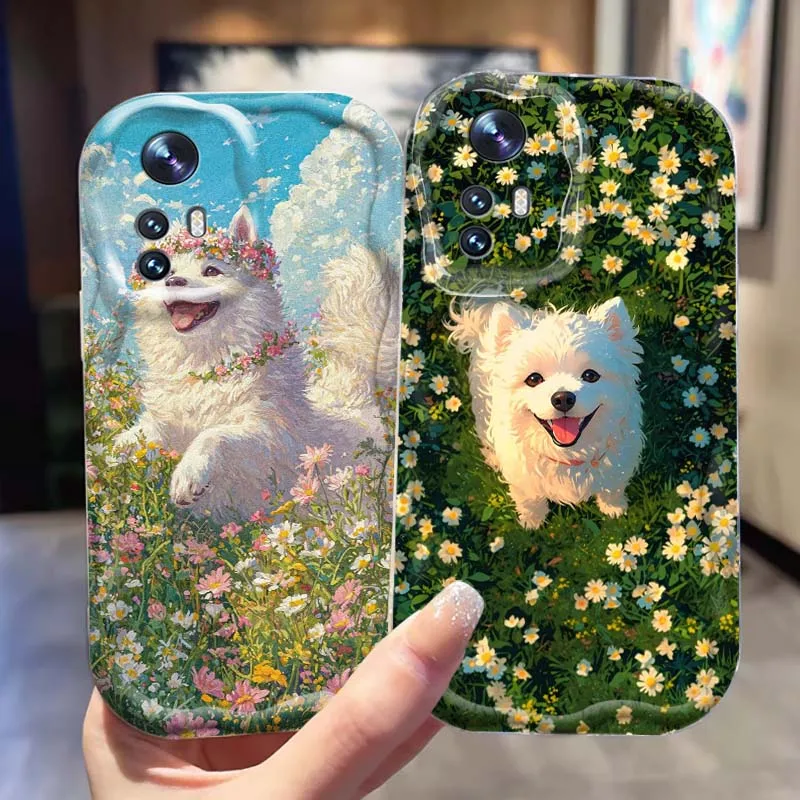 Cat Bear Dog Popula… - image