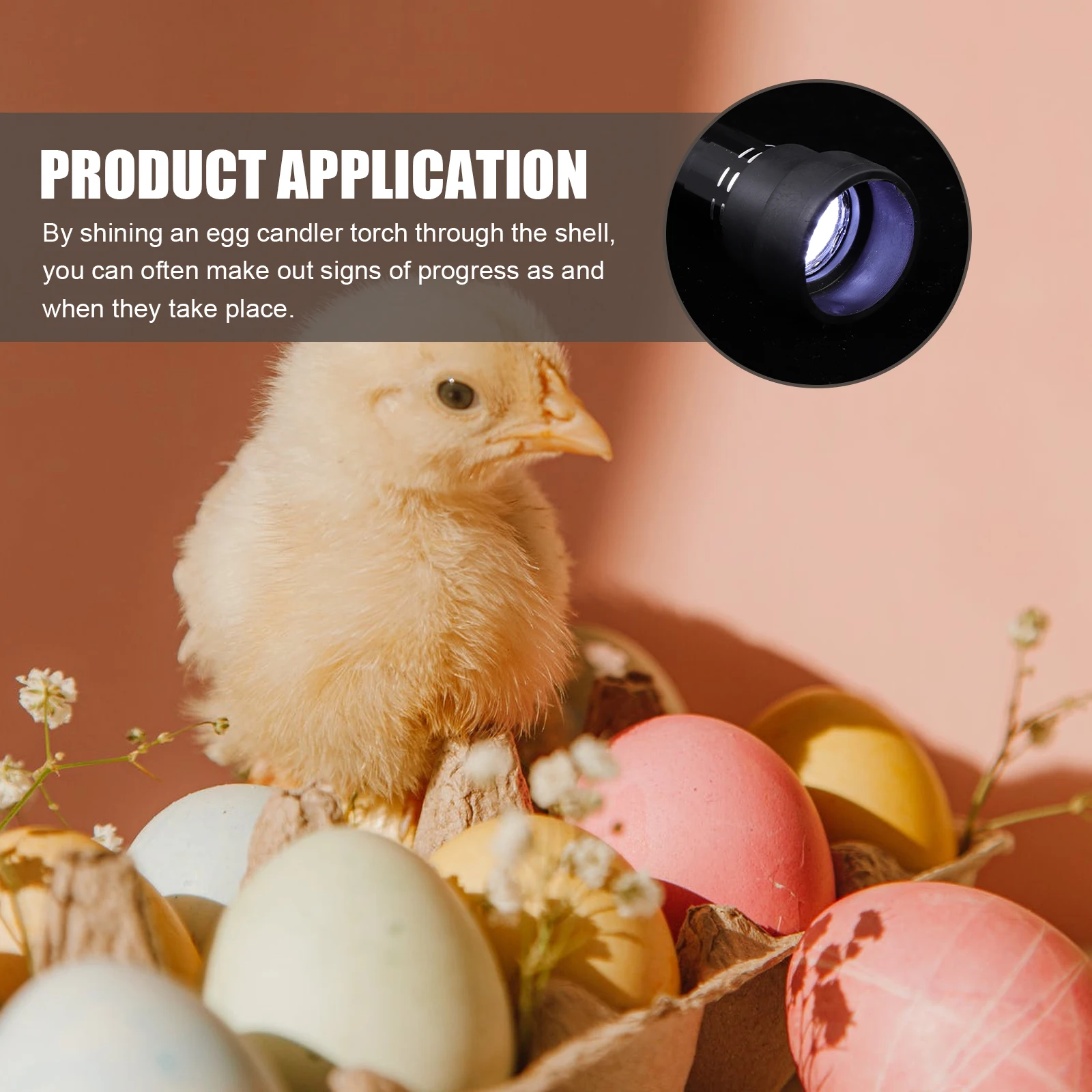 

1pc Led Egg Candler Professional Incubation Candling Lamp Tester For Fertilized Eggs Durable Lightweight Plastic Iron