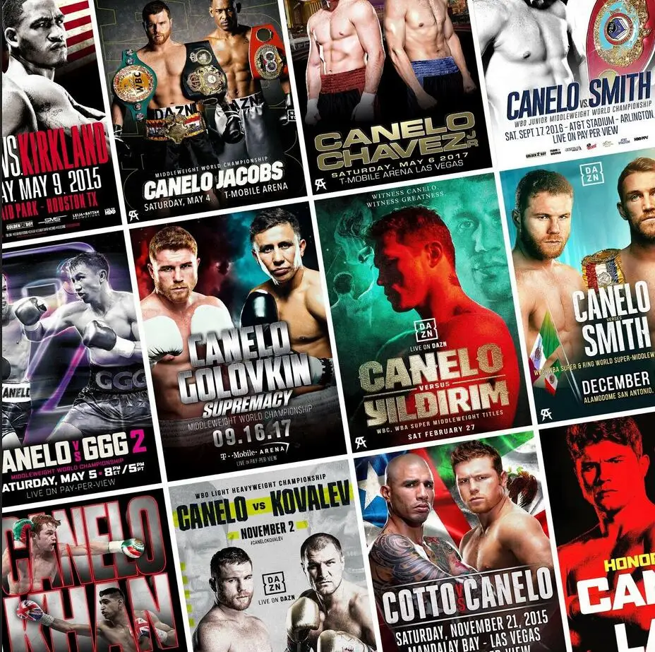 25style Choose Conor McGregor Fight Boxing, Print Art Canvas Poster,Living Room Decor, Home Wall Picture