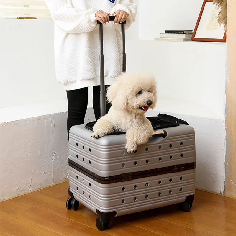 Cat bag trolley case large pet dog dog out portable suitcase cat aviation cart cat cage large capacity