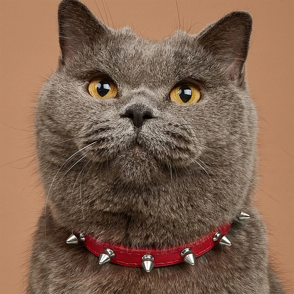 

Anti-bite collar for cats and dogs PU material to protect the neck Fashionable and beautiful Neck products Pet accessories
