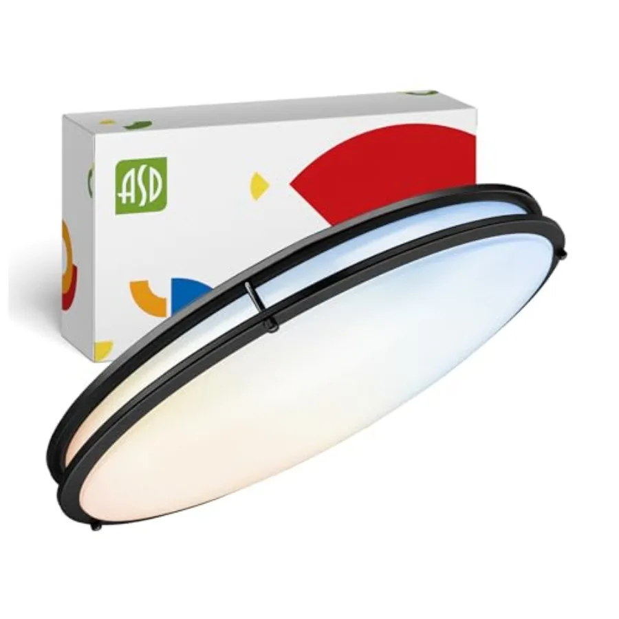 LED 24