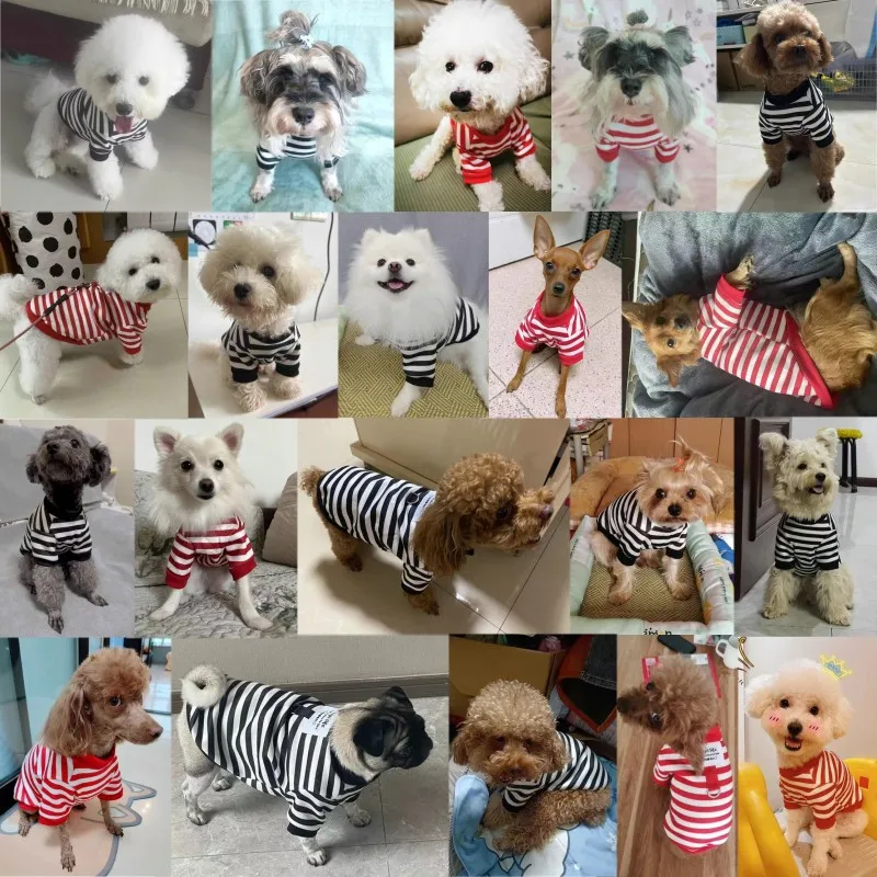 Fashion Pet Dog Clothes for Small Dogs Winter Warm Dog Striped Hoodies Cute Puppy Pullover Soft Cat Sweatshirt Chihuahua Clothes