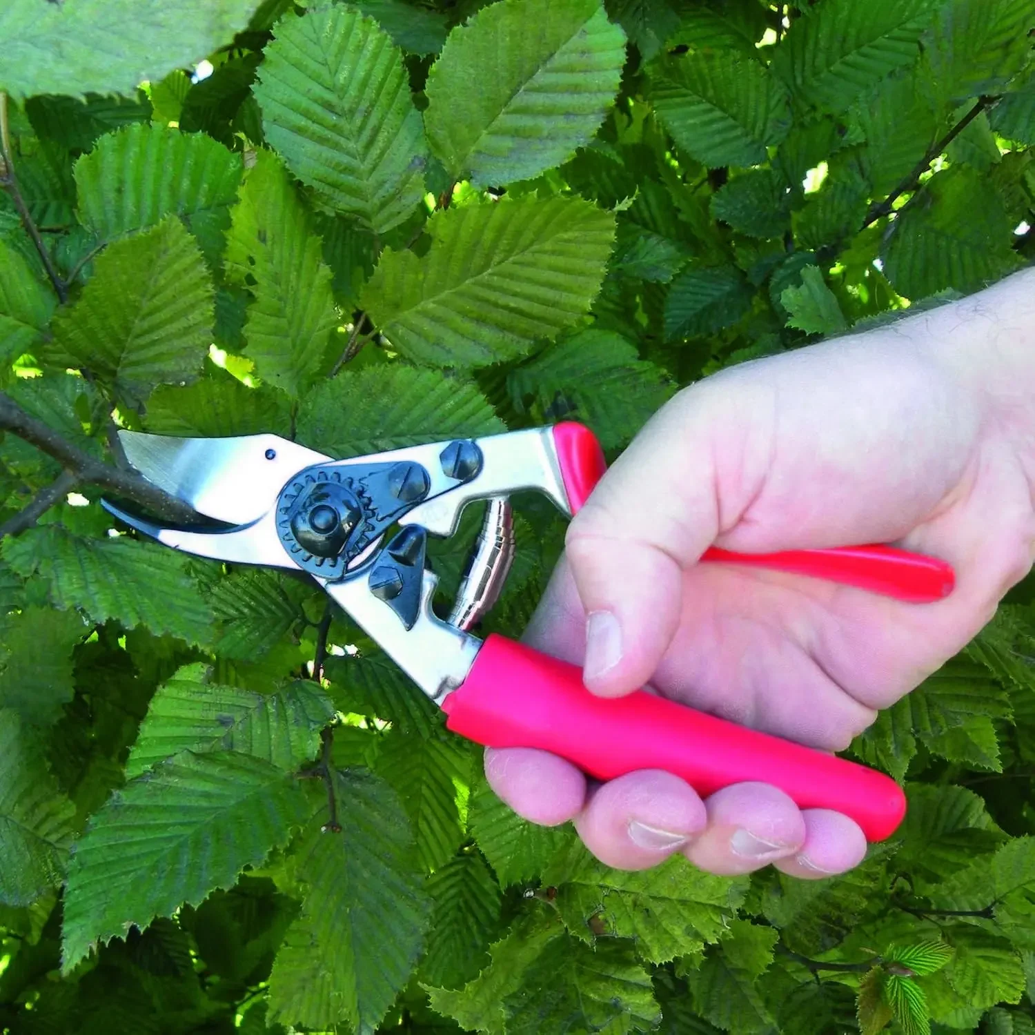 

Pruning Shears (F 12) - High Performance Swiss Made One-Hand Garden Pruner with Steel Blade