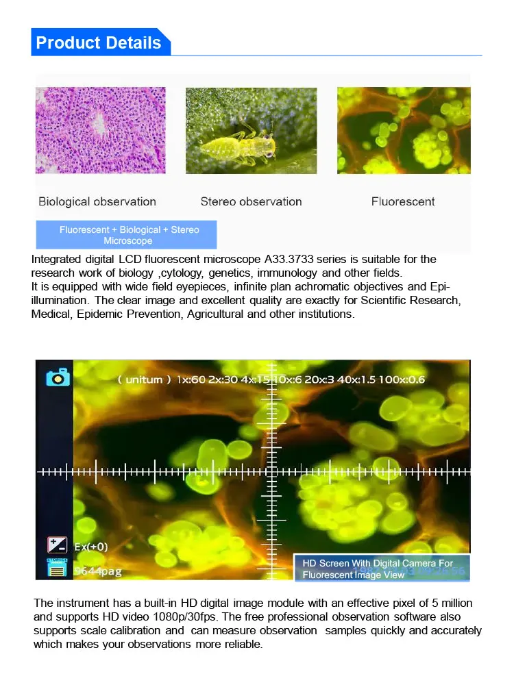 OPTO-EDU A33.3733-5.0M Fluorescent 10.1" LCD Digital Microscope