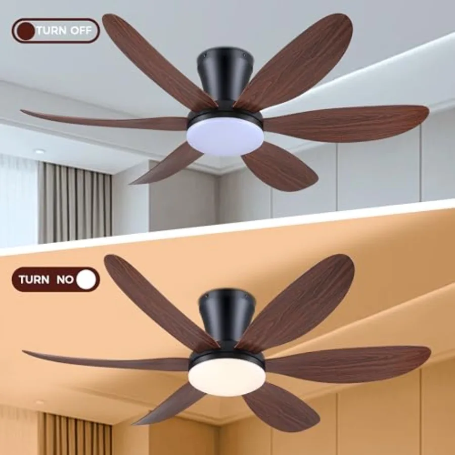 Ceiling Fans with Lights, 42