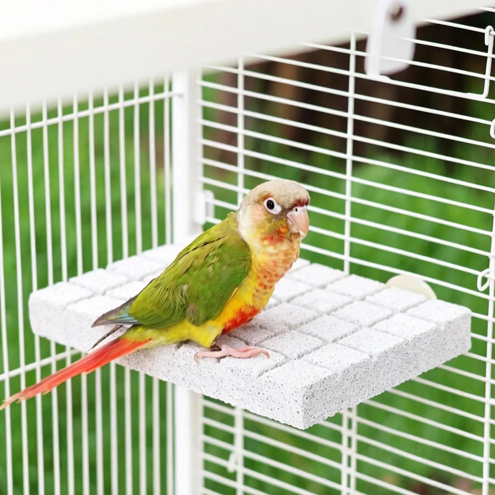 Parrot Beak Grinding Stone Volcanic Rock Cockatiel Perch Cockatiel Perch Stand For Pet Parents Animal Lovers Trainers Macaw