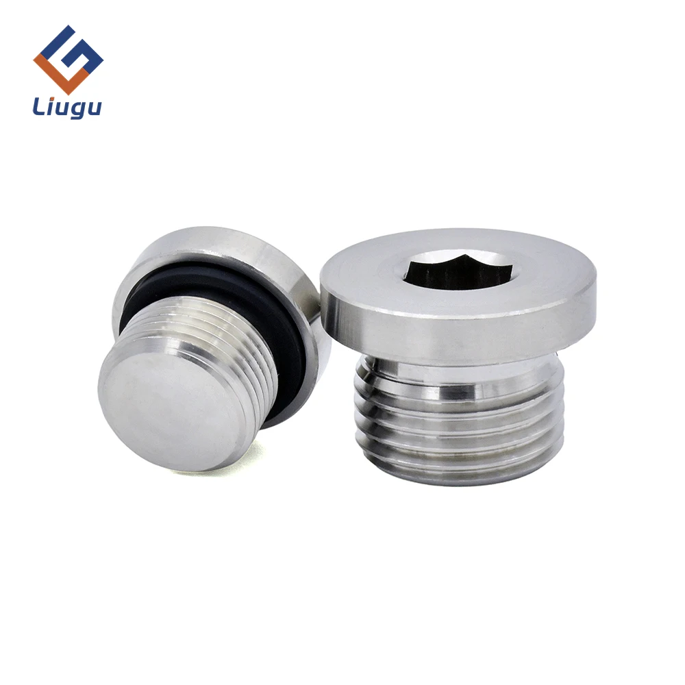 Hex Socket Head End Cap Plug,1/8