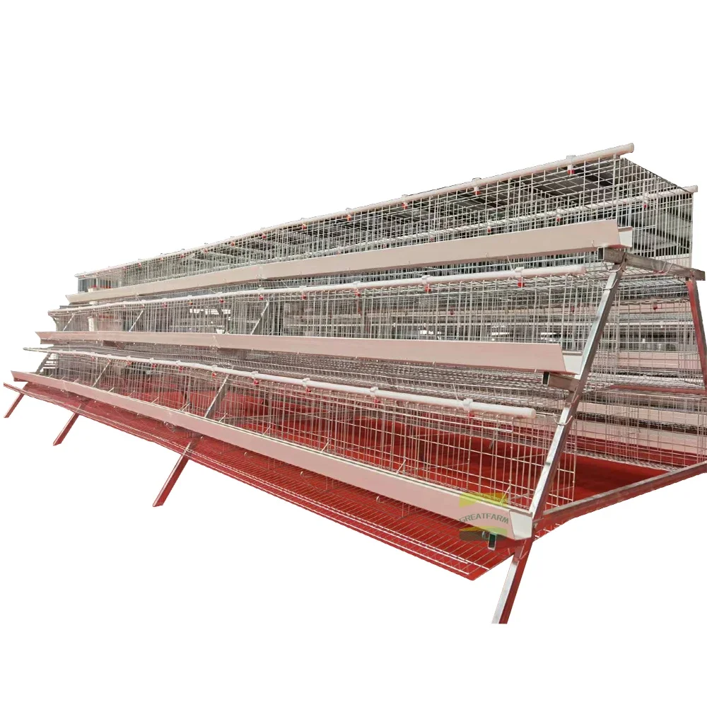 3-tier A Type Layer Chicken Cages 120/96 Chicken For Chicken Farm