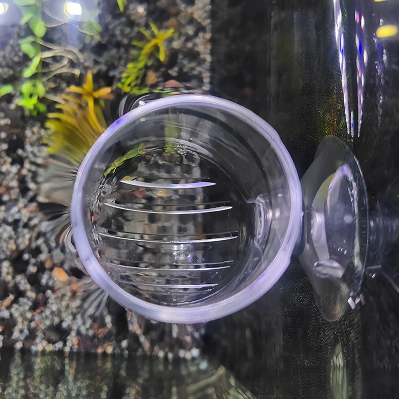 Thumbnail 4 - #30 Ranked Decorative Aquarium Plants Picks in 2026