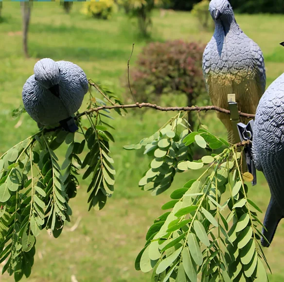 3d 대상 양궁 비둘기 미끼 동물 슈팅 대상 야외 활 화살 세트 사냥을위한 EVA 폼 슈팅 대상