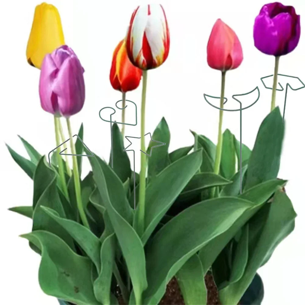 Climbing Support Plant Growing Support Plant Stand 11*6cm Practical Plant Support Clips Vegetable High Quality