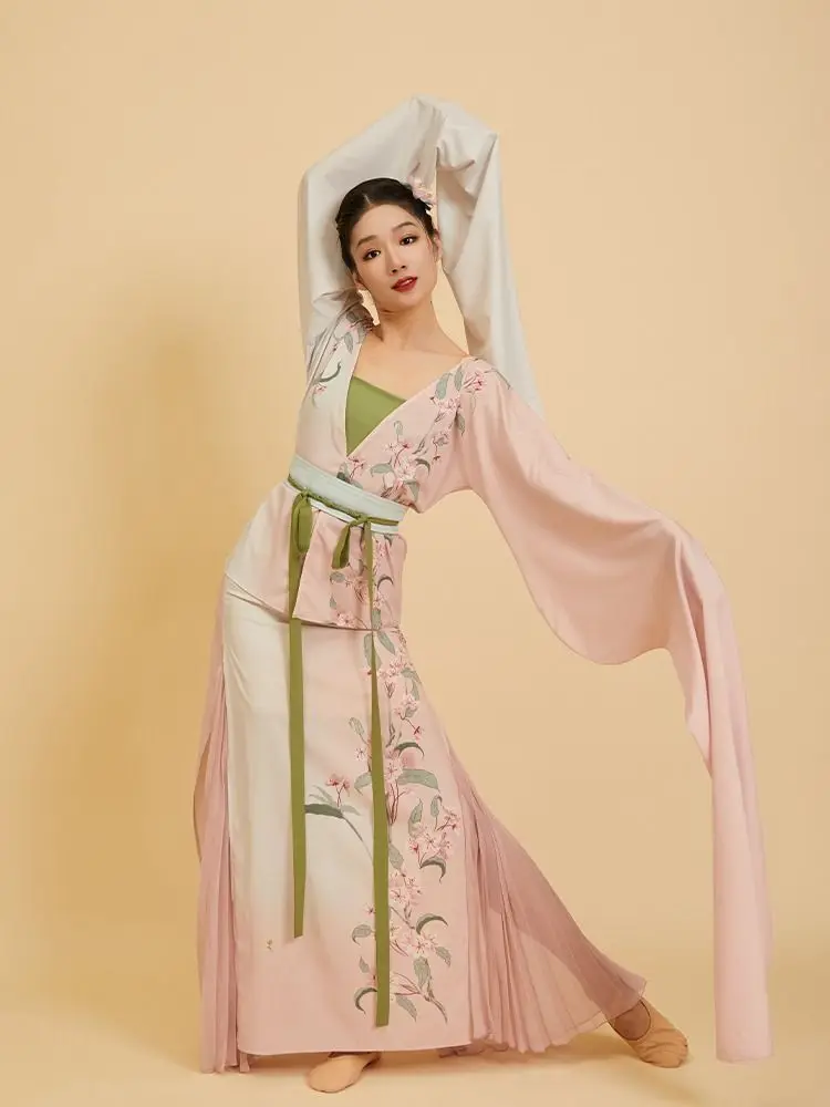 

Free Flowing Flower Dance Costume Poetic Flowers Classical Dance Water Sleeve Performance Costume Wang Shiyi Same Style Begonia