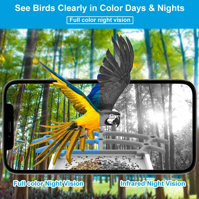 Solar Powered Smart Bird Feeder Camera with 5MP WiFi PTZ AI