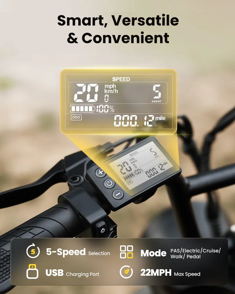 Electric Bike 1000W Fat Tire E Bike Electric Dirt Bike Dual Battery MoutainBike image 5