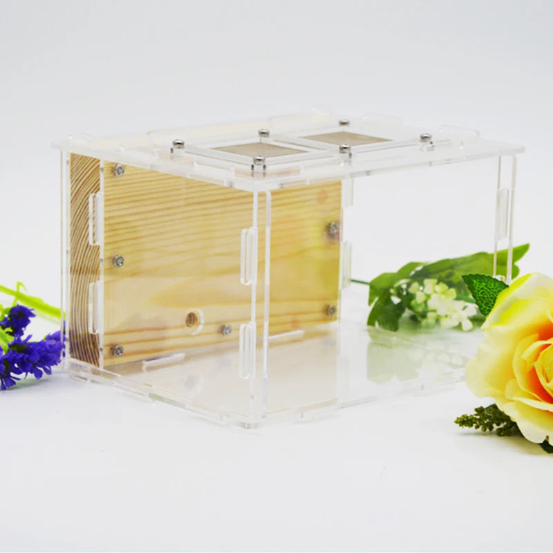 DIY Ecological Acrylic Wood Ant Farm Ant Nest with Feeding Area Insect Ant House for Pet Anthill Workshop 15*14*10cm