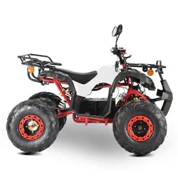 New Powerful 2000w 60v Electric Atv 4 Wheel Quad Bike Adult Atv With Lithium Battery EEC COC