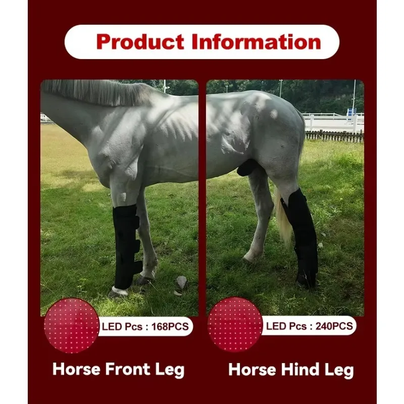 168 240 Pcs Leds Horse Front Hind Leg Red Light Therapy Equine Belt Blanket 660nm 850nm Device Near Infrared Red Light