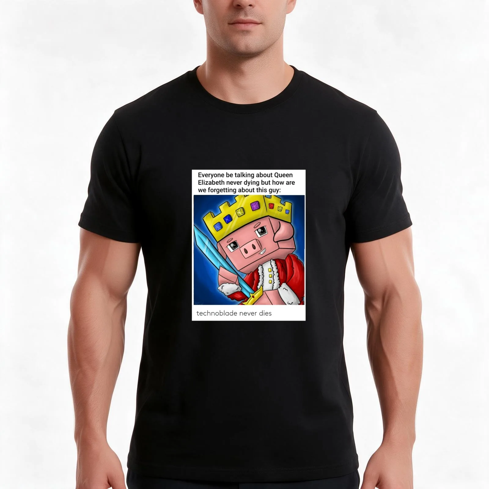 Technoblade Never Dies MEME T-Shirt, Summer Casual Cotton Tee, Oversized Streetwear Tops, Vintage Graphic Print, 100% Cotton