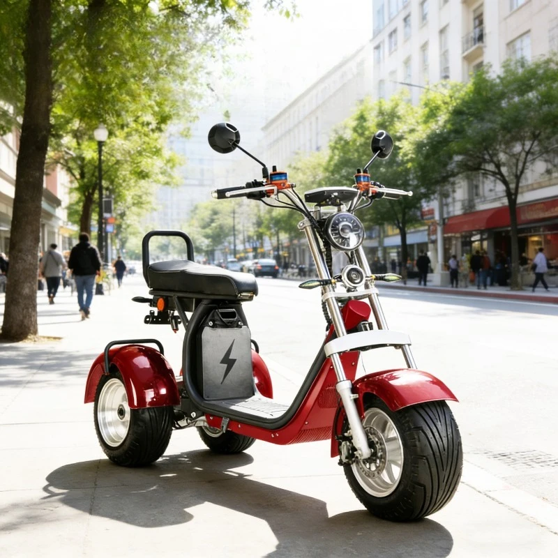 

Dual Drive 4000W Outdoor Three-wheeled Electric Motorcycle Rocking Seat Cushion