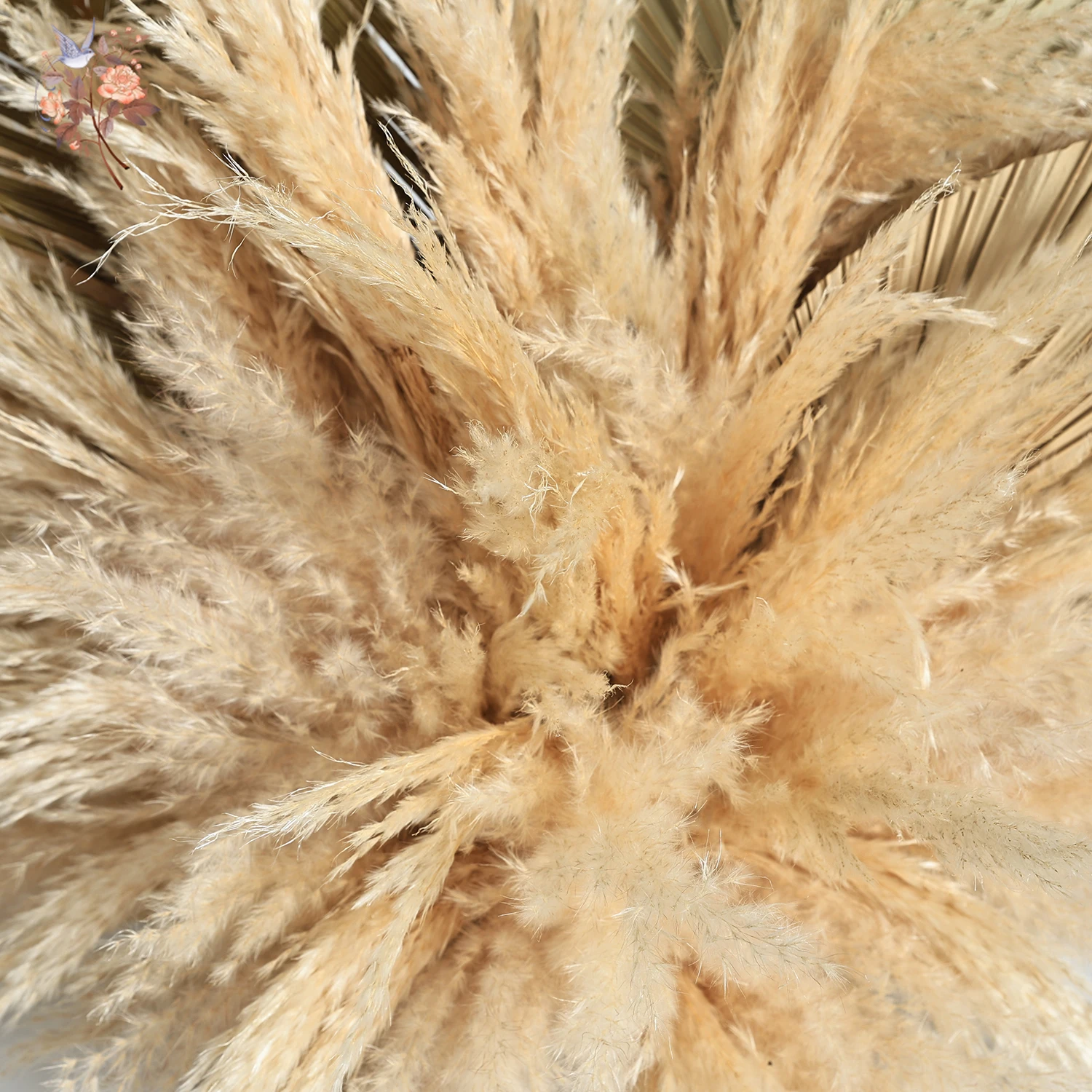 رقيق بامباس العشب المجففة زهرة DIY بها بنفسك ترتيب للمنزل حفلات الزفاف الأحداث ديكور الطابق الدائمة حديقة الحدث المخططين الزينة