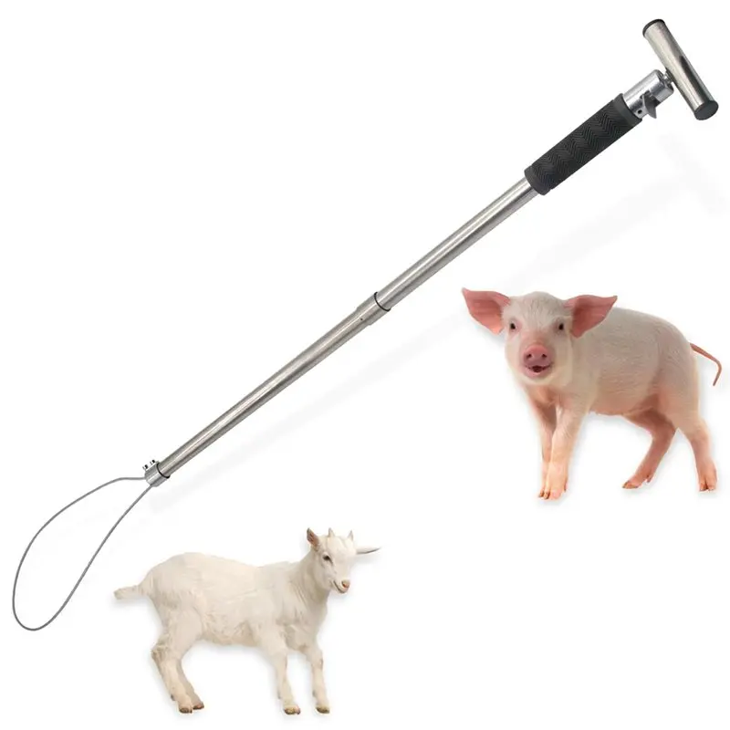 

For Pig Catcher Pole For Swine, Portable Animal Control Pole For Hog, Livestock Farm Tools