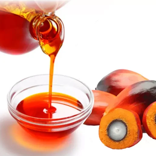 Prasa do tłoczenia oleju owocowe Plam/maszyna do ekstrakcji oleju owoców palmowych na sprzedaż