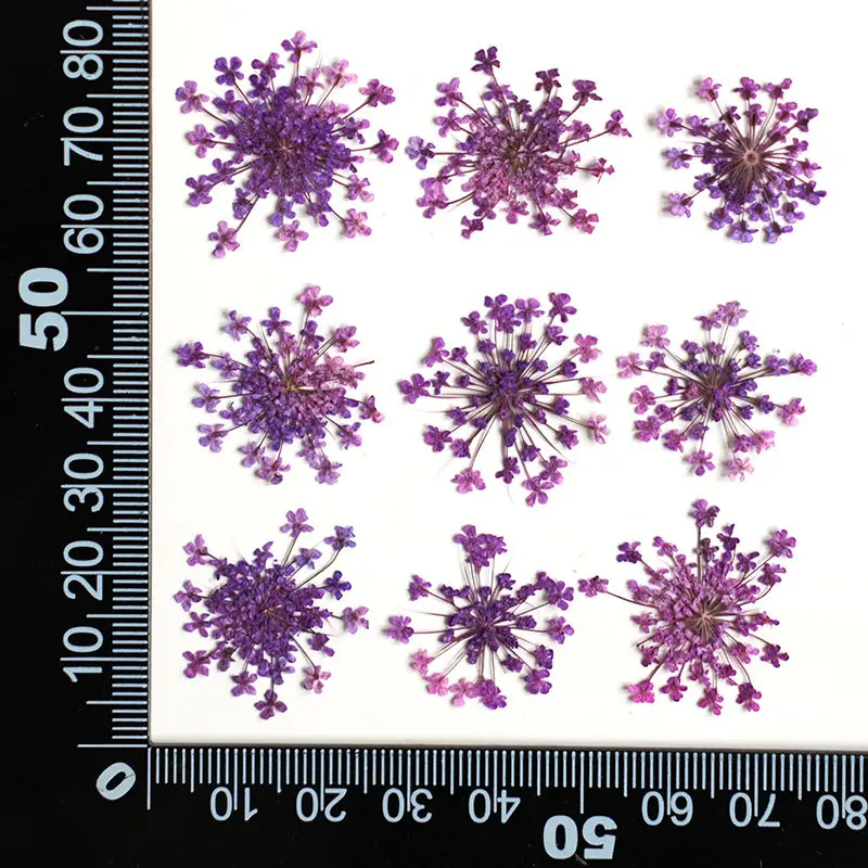24pcs, 2-2.5cm, Nature Dyed Mini Lace Pressed Flower Petal, Dry Flower DIY Nail Art Resin Jewelry Floral Decor Photo Frame Suppl view 6