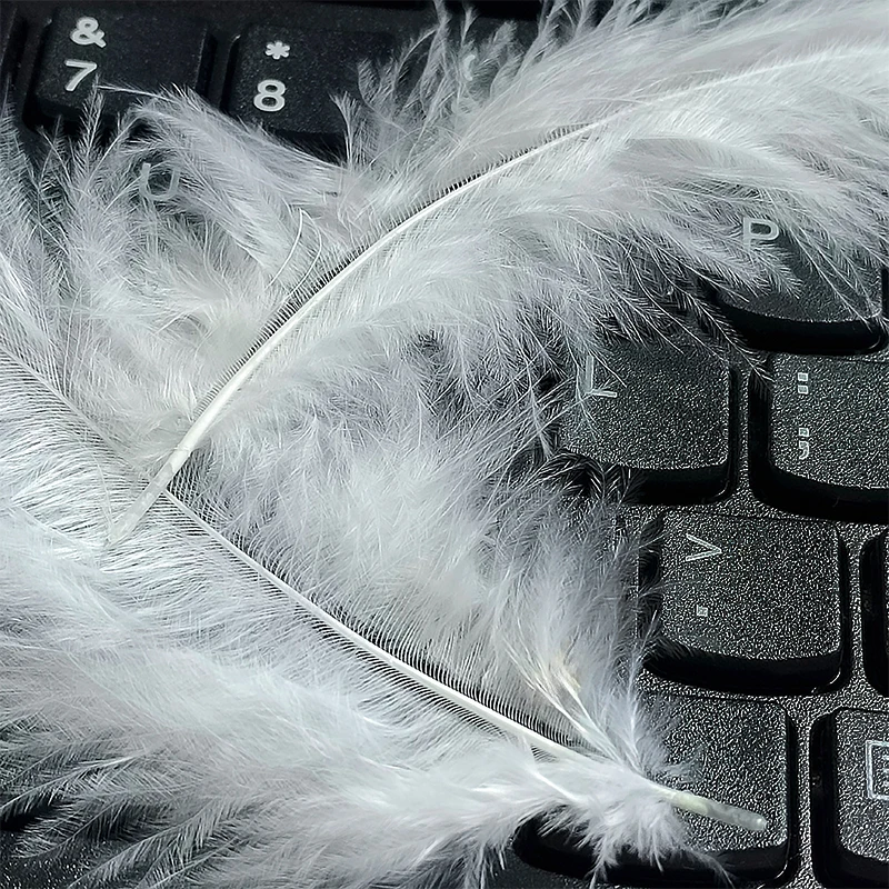290 قطعة 9-15 سنتيمتر الريش الأبيض الطويل ل زاك ديكور كرنفال القبعات الزفاف الحرف شجرة زهرة كبيرة صغيرة السائبة تركيا بلوماس