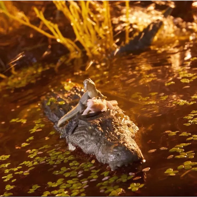 

Новый оригинальный Hasbro G.I. Фигурка Croc Master и Fiona серии Joe Classfied Series