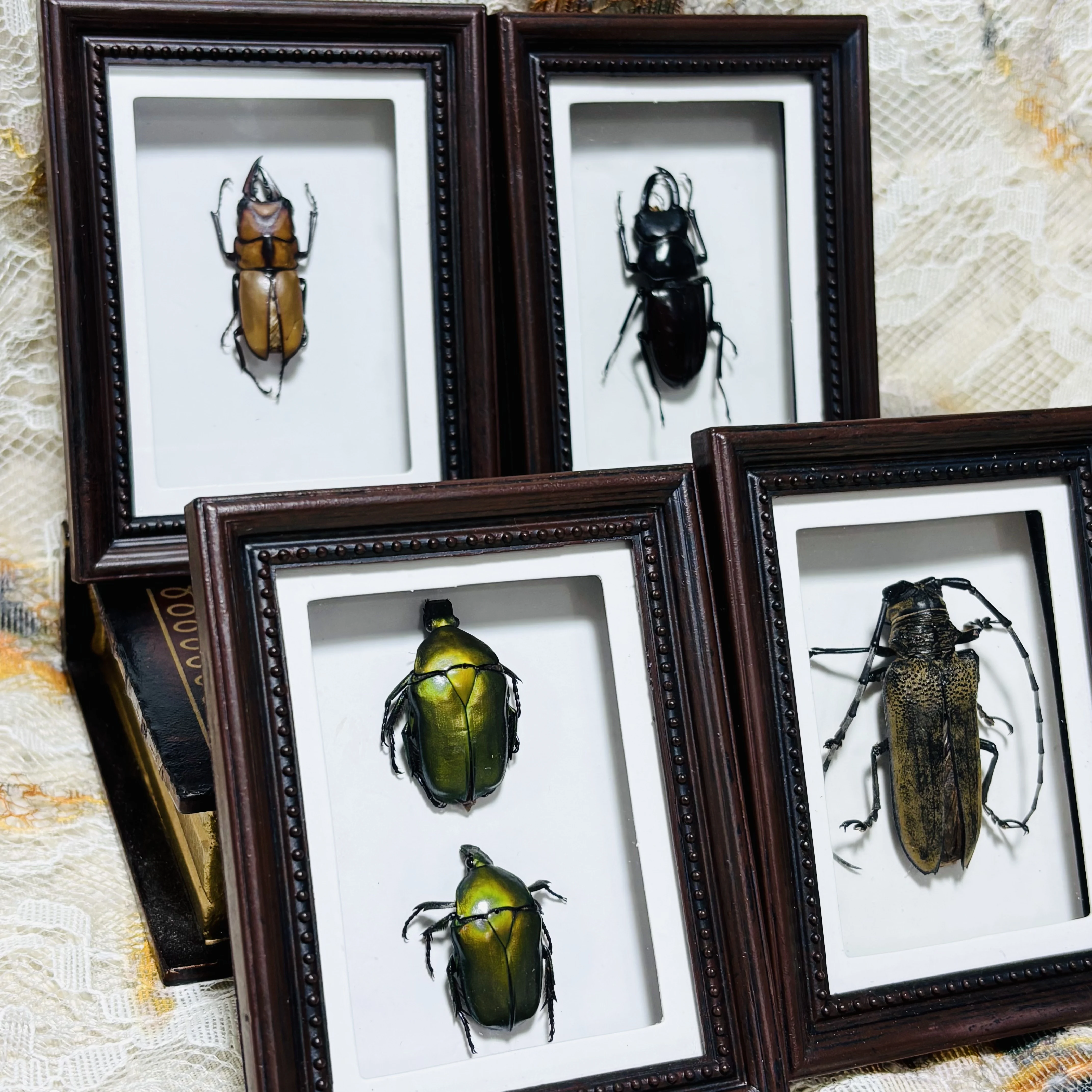 2191 Handmade Beetle Shadow Box Display Frame Ornament Gothic Punk Dark Decor Mini Insect Art Fridge Magnet Halloween Christmas