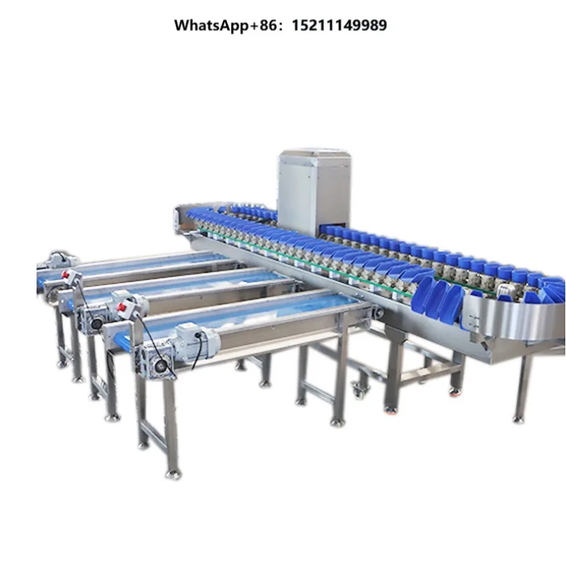 Potato Onion Cherries Automatic Tomato Citrus Fruit Grader/shrimp Fish Pomelo Cashew Nut Prawn Grading Machine Automatic
