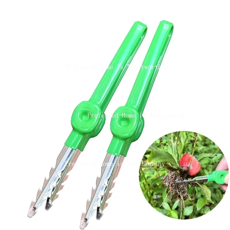 

Gardening Tools, Tweezers, Stainless Steel Weeding, Seedling Pulling, and Picking Clip