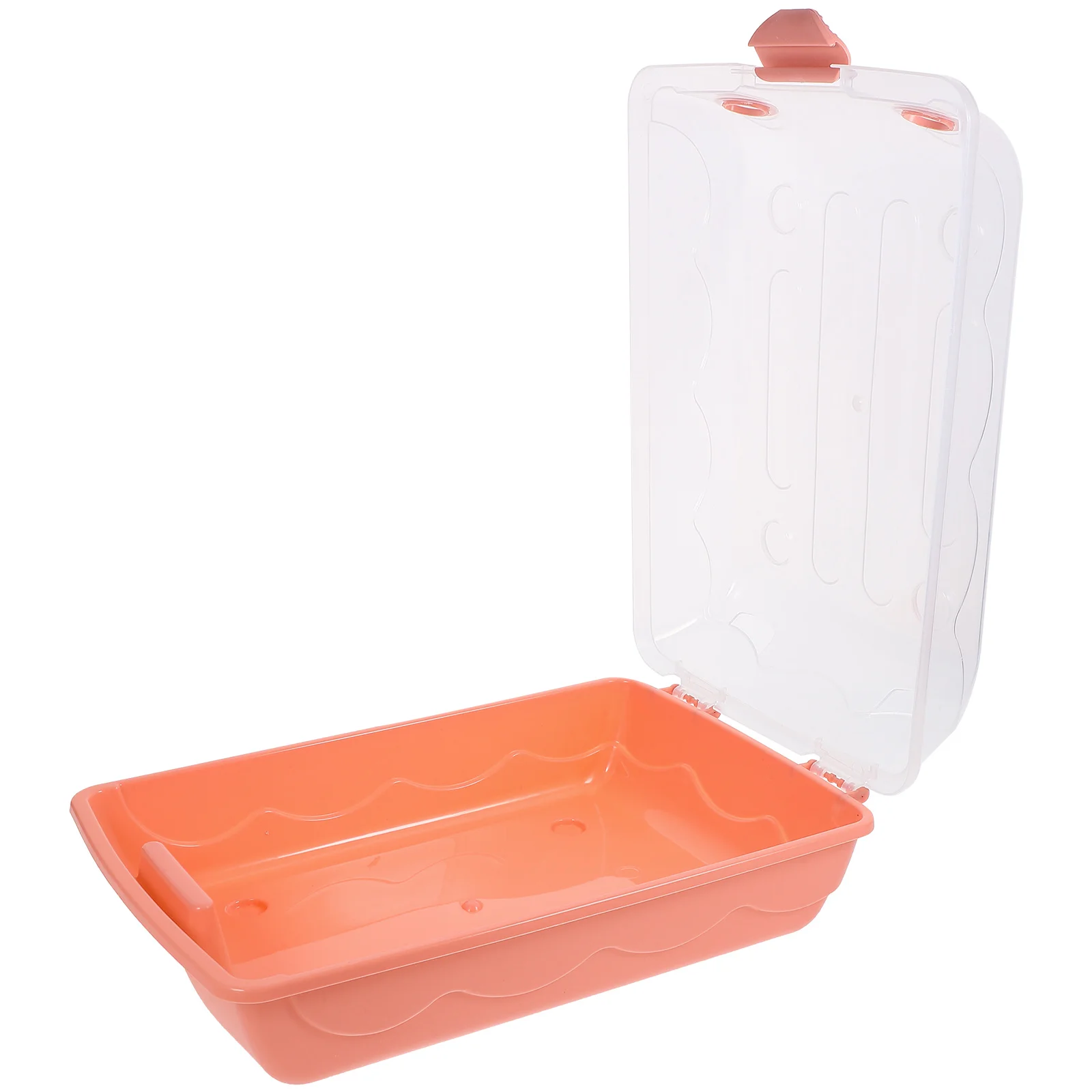 

Flipping Lid Plastic Shoe Storage Box Stackable Transparent Organizer for Sneakers Home Dorm Bedroom Shoe Display Case