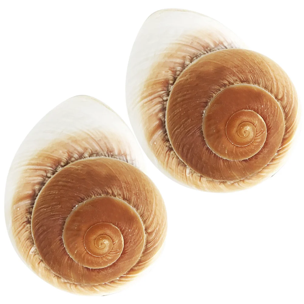 

2pcs Natural Conch Craft Shell Decor For Home Wedding Aquarium Landscape Diy Desktop Decoration Seashell Adorn Conch Ornament